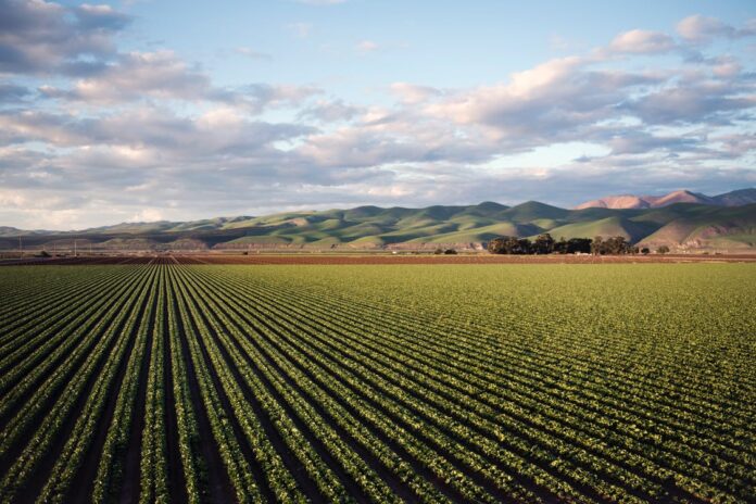 Artificial intelligence in agriculture : using modern day AI to solve traditional farming problems