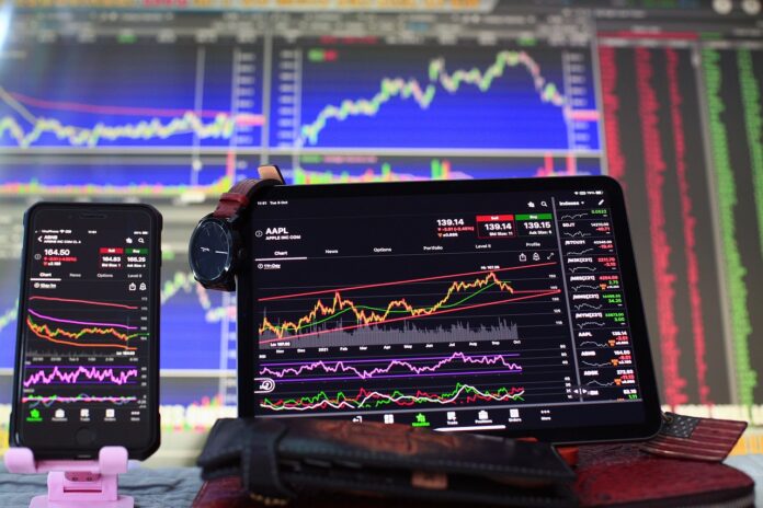 Top Altcoins for the bull market